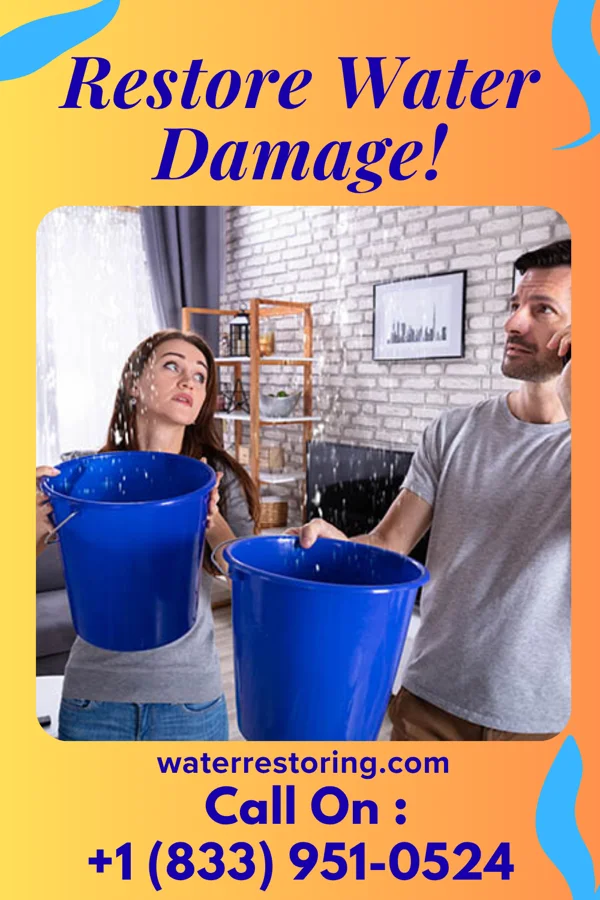 water restoration Citywide Flood Damage & Associates West Alexandria