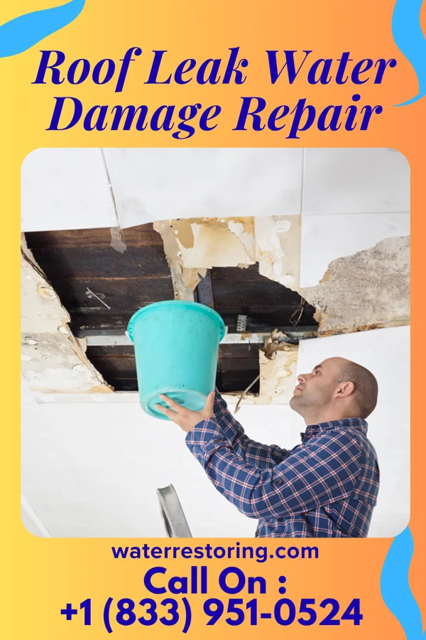 Roof Leak Water Damage Repair in West Alexandria, OH
