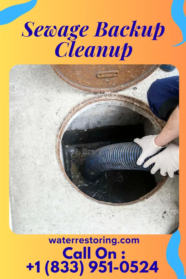 Sewage Backup Cleanup in West Alexandria, OH