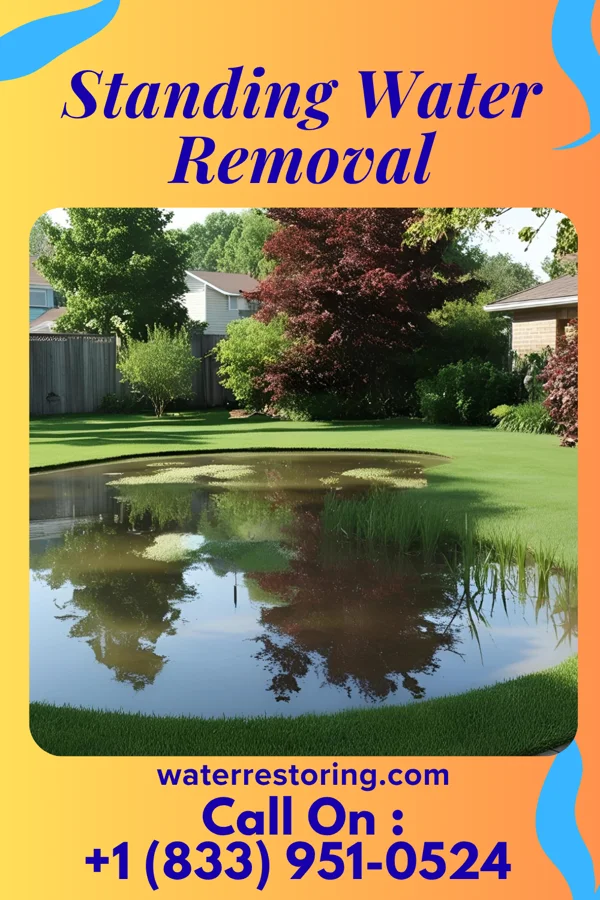 Standing Water Removal in West Alexandria, OH